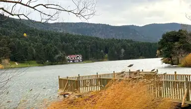 Şiddetli Rüzgar, Doğal Alanı Vurdu