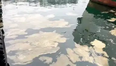Marmara'da Müsilaj Tekrar Göründü!